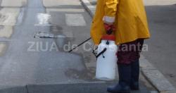 Cât vor costa serviciile de deratizare şi dezinsecţie la Serviciul Public de Asistenţă Socială Constanţa