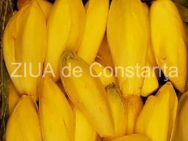 Andivele ajută în caz de obezitate și diabet