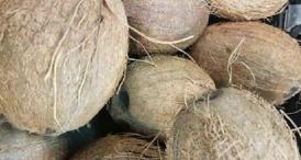 Beneficiile cocosului. Este ideal pentru tratamente de înfrumusețare