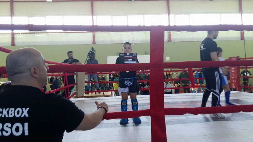 succesele luptatorilor kickbox ursoi de la cupa keru kento k 1 dedicate memoriei lui marius iulian ursoi