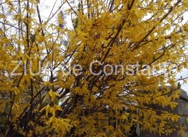 Ce diferenţă! Câte grade erau anul trecut, pe 18 aprilie, şi câte sunt astăzi