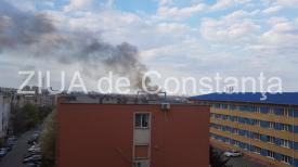Incendiu la o baracă în Constanţa, pe 1 Mai Vechi. S-a extins şi la vegetaţie uscată (video)  