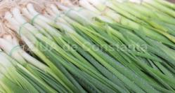 Beneficiile consumului de ceapă verde