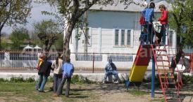 De Ziua Europei, elevii din Constanţa vor sădi câte un copac în curtea şcolii