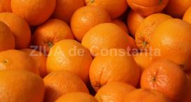 Portocala, o alegere gustoasă şi sănătoasă!