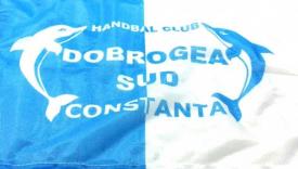 HC Dobrogea Sud, clarificări după evenimentele produse la partida cu Dinamo  