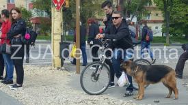 Ajutor de nădejde Un căţel cară sacoşa cu cumpărături a unui constănţean (galerie foto)  