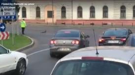 Agent şef adjunct de poliție, eroul unei familii de... răţuşte (video)