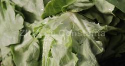 Motive pentru care ar trebui să consumi salată