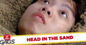 Funny video Farsa de pe plajă