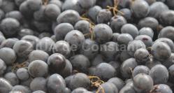 Strugurii energizează organismul