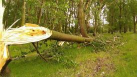 Furtună puternică la Făcăeni, judeţul Ialomiţa. Este singura localitate din România afectată de o tornadă (galerie foto + video)