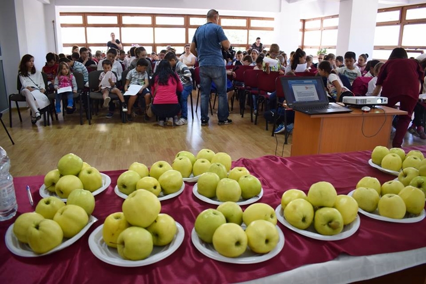 primarul mariana gaju spune ca parteneriatele vor continua elevii din cumpana au invatat de la specialisti