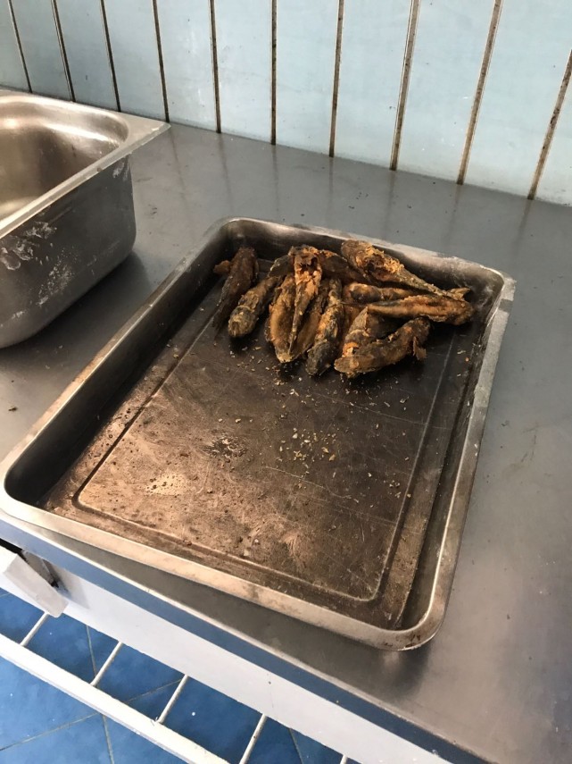 control al comisarilor cjpc constanta la o terasa din neptun in ce conditii erau depozitate alimentele control al comisarilor cjpc constanta la o terasa din neptun in ce conditii erau depozitate alimentele