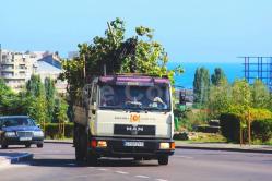 Primăria Constanţa vrea să facă ITP-ul autovehiculelor din dotare