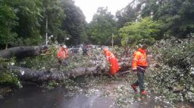 Cod galben în municipiul Constanța. Primăria face un anunț! (galerie foto)  