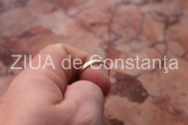  Nr. unic (nr. format vechi) 	18498/212/2017