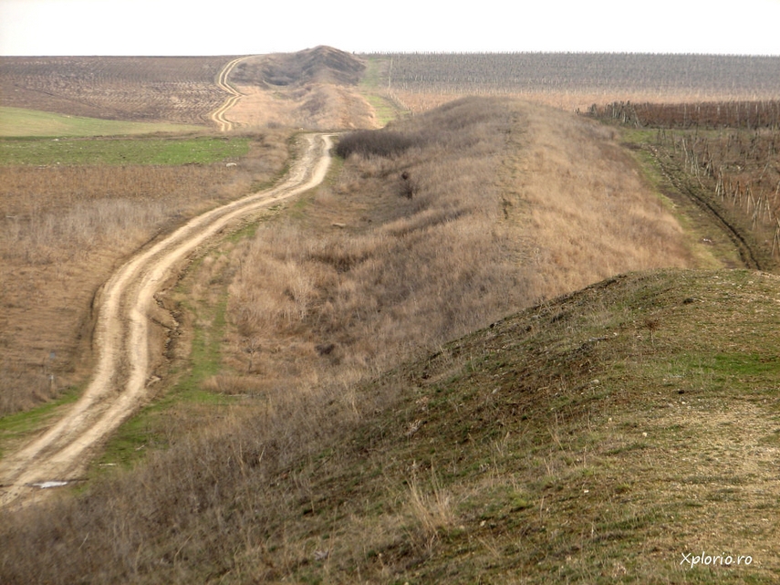 calatori straini prin dobrogea cxxx hans andersen danemarca galerie foto 635957