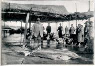 Călători străini prin Dobrogea (CXXXIII) - Carol Guébhart (Elveţia) - galerie foto