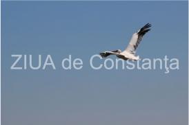 centrulnatura.ro Cum este sa fiu eu