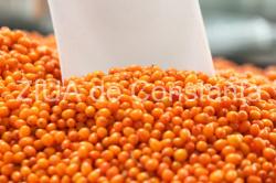 Uleiul de cătină încetinește îmbătrânirea pielii