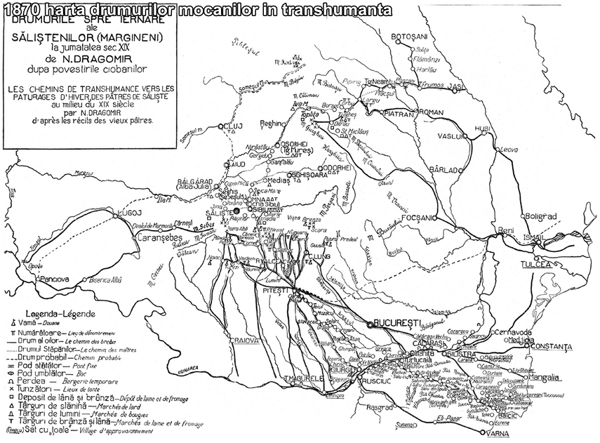 scriedobrogea calatori straini despre dobrogea si despre necesitatea construirii unui canal de la cernavoda