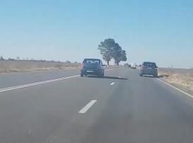 Claudiu Palaz cere demiterea directorului Artagea de la Aeroport. Reacţia lui Artagea. Ce spune IPJ    