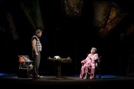 ​Ce spectacole puteți vedea, în weekend, la Teatrul de Stat Constanța