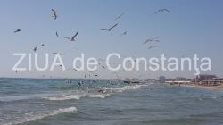 Irina Lucia Mihalca - O limită, un spaţiu, o clepsidră