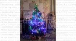 Concertul de Crăciun încheie anul 2017 la Teatrul „Oleg Danovski“ 