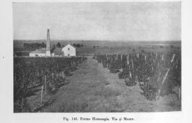 #citeşteDobrogea Om bogat, om sărac în Dobrogea. Lucrări din Biblioteca Virtuală ZIUA de Constanța      