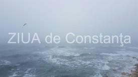 centrulnatura.ro EVOLUȚIA VINDECĂRII