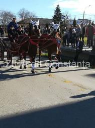 Tradiția continuă în comuna Mihail Kogălniceanu Botezul cailor, o paradă de forță, eleganță și frumusețe 