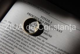 Nr. unic (nr. format vechi) 	1733/212/2018