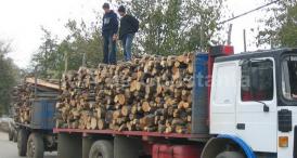 Poliția Română. Sute de controale și percheziții, efectuate în ultima săptămână pentru combaterea infracțiunilor silvice