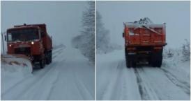 Zona Ion Corvin-Rasova, greu încercată de ninsoarea din această după amiază (video)