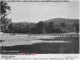 #citeșteDobrogea  „Tulcea, un oraș cu poziție strategică însemnată, era o localitate mizerabilă.“ Lucrări din Biblioteca Virtuală ZIUA de Constanța