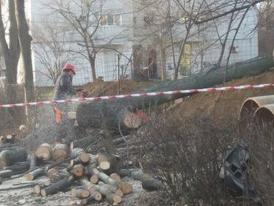 Victorie de etapă împotriva unor betoane ridicate pe bulevardul Alexandru Lăpuşneanu  Tribunalul Constanţa a dispus suspendarea autorizaţiei de construire emise de Primărie în favoarea investitorului Cambela Prod