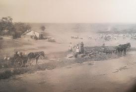 #citeşteDobrogea „Învăţământul nostru nu stabileşte uneori suficient corelaţia dintre cunoştinţele teoretice şi realitatea intuită.“ Lucrări din Biblioteca Virtuală ZIUA de Constanța  