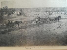 #citeşteDobrogea Ce alimente preferate aveau dobrogenii la 1939. Lucrări din Biblioteca Virtuală ZIUA de Constanţa   
