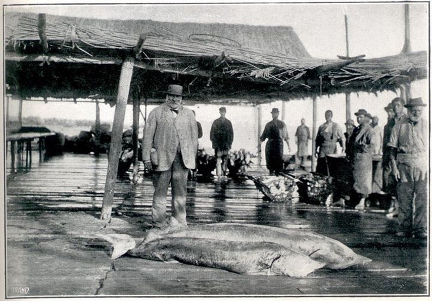 calatori straini prin dobrogea cxci 2 wilhelm brennecke prusia germania galerie foto 660764