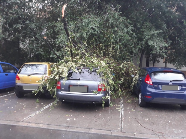 alerta la isu bucuresti imagini de la localnici 17 copaci si doi stalpi cazuti pe strazi sau masini din