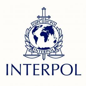 Violator spaniol urmărit de Interpol, prins într-un sat din România