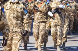 Sondaj de opinie Vreţi ca armata să redevină obligatorie în România?  