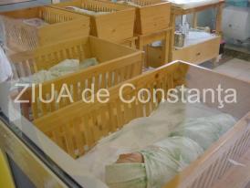 Sondaj de opinie Maternitatea de stat vs maternitatea privată. Unde credeţi că este mai sigur pentru o mamă să-şi aducă pe lume bebeluşul?     