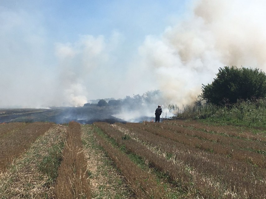 tulcea incendiu in localitatea agighiol intervin salvatorii 667350