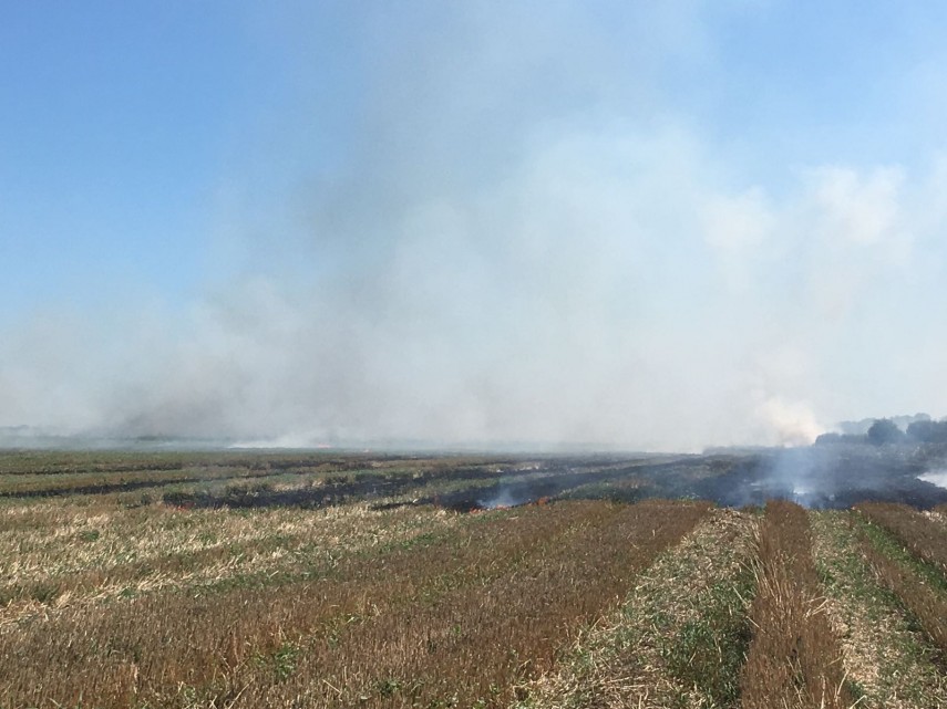 tulcea incendiu in localitatea agighiol intervin salvatorii 667350