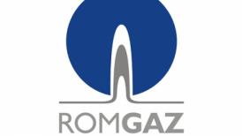 ROMGAZ va opri alimentarea cu gaze către Electrocentrale Constanţa începând cu 1 septembrie (document) 