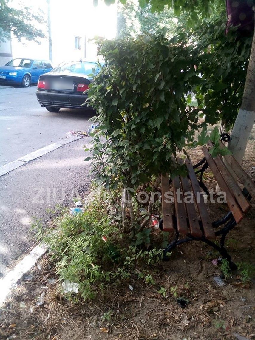 locuitorii din poarta 6 suparati pe tinerii din cartier au furat banca din parc si au dus o in fata blocului