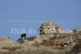 Consiliul Judeţean Constanţa cumpără servicii de consultanţă pentru proiectul de restaurare a Cetăţii Carsium